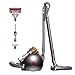 Dyson Big Ball Absolute 2