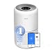 LEVOIT Core 300S