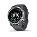 Garmin Vivoactive 4