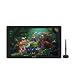 HUION Kamvas RDS 220