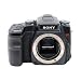 Sony A100 DSLR