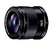 Panasonic LUMIX G 42 5mm F1 7 ASPH POWER OIS