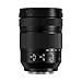Panasonic LUMIX S 24 105mm F 4 Macro OIS