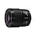 Panasonic LUMIX S 50mm F 1 8