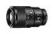 Sony FE 90mm F2 8 Macro G OSS